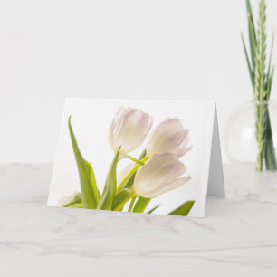 Allgemeine Weiße Tulpen Karte