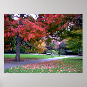 Allgemeiner Garten-Fall Poster