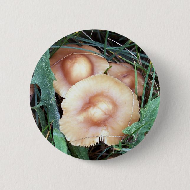 Allgemeiner Mützen-Pilz-Knopf Button (Vorderseite)