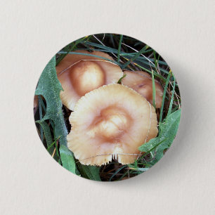 Allgemeiner Mützen-Pilz-Knopf Button