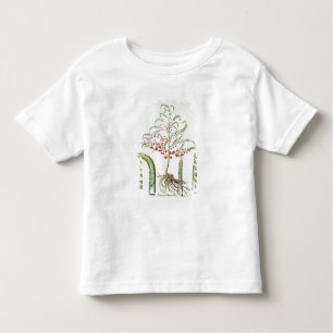 Allgemeiner Spargel in der Blume und in der Kleinkind T-shirt