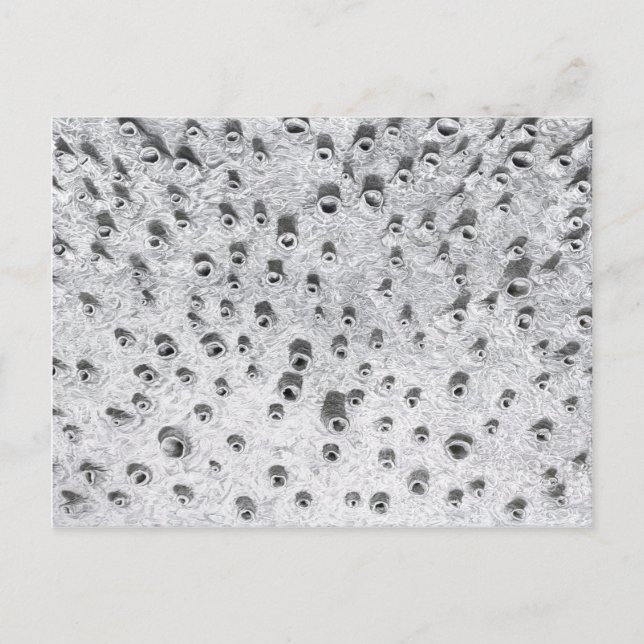 allí postkarte (Vorderseite)