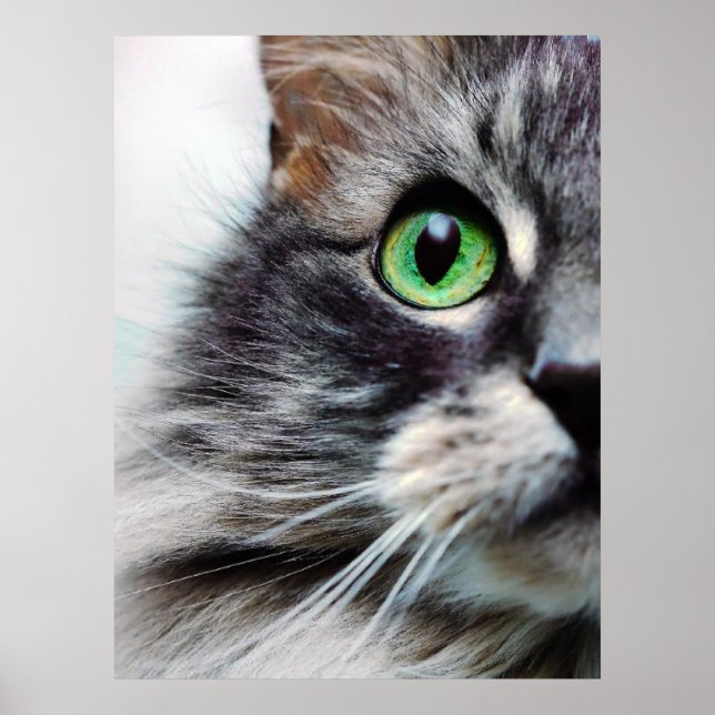 Allie (Halbfass) Poster (Vorne)