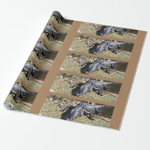 Alligatior an den Everglades Geschenkpapier