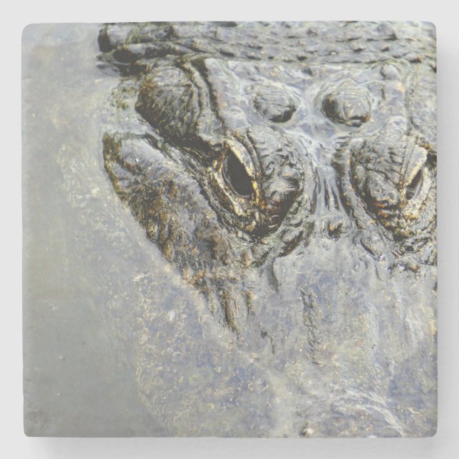 Alligator 2 steinuntersetzer (Vorderseite)