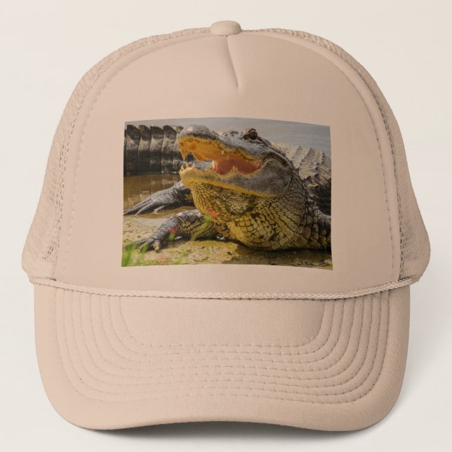 Alligator. Angesicht Truckerkappe (Vorderseite)