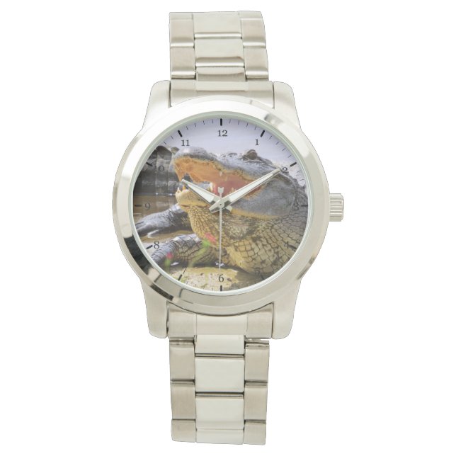 Alligator Armbanduhr (Vorderseite)