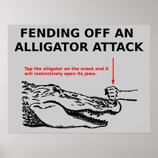 Alligator Attack Poster (Vorne)