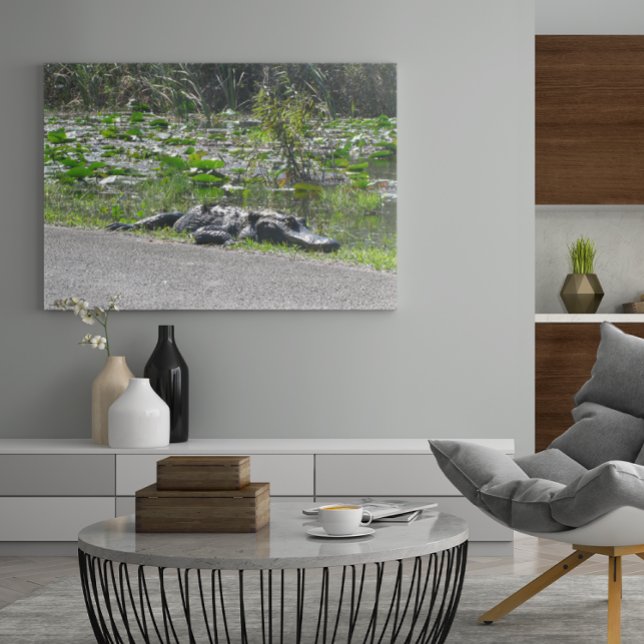 Alligator auf Alligator Alley, Fl Poster (Von Creator hochgeladen)