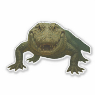 Alligator-Aufkleber Aufkleber