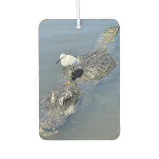 Alligator Autolufterfrischer