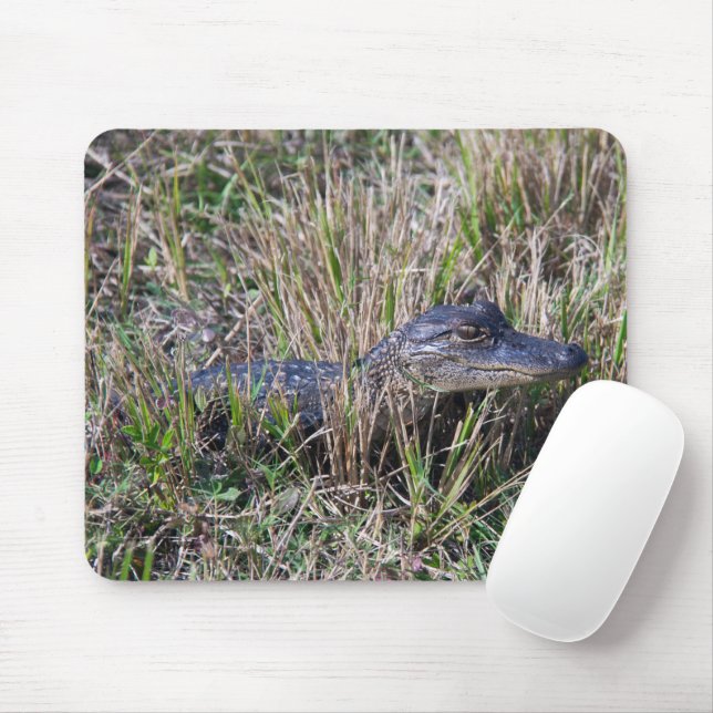 Alligator Baby Animal Niedlich Fotograf Mousepad (Mit Mouse)