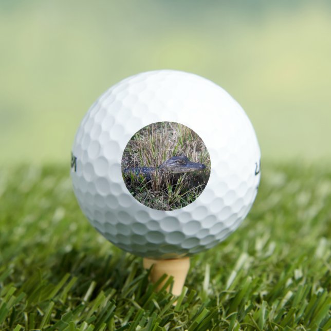 Alligator Baby Niedlich Florida Golfball (Insitu T-Shirt)