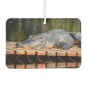 Alligator bei Homosassa Springs Wildlife Staat Par Autolufterfrischer