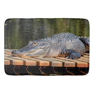 Alligator bei Homosassa Springs Wildlife Staat Par Badematte
