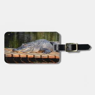 Alligator bei Homosassa Springs Wildlife Staat Par Gepäckanhänger