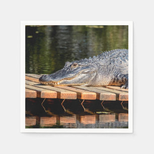 Alligator bei Homosassa Springs Wildlife Staat Par Serviette