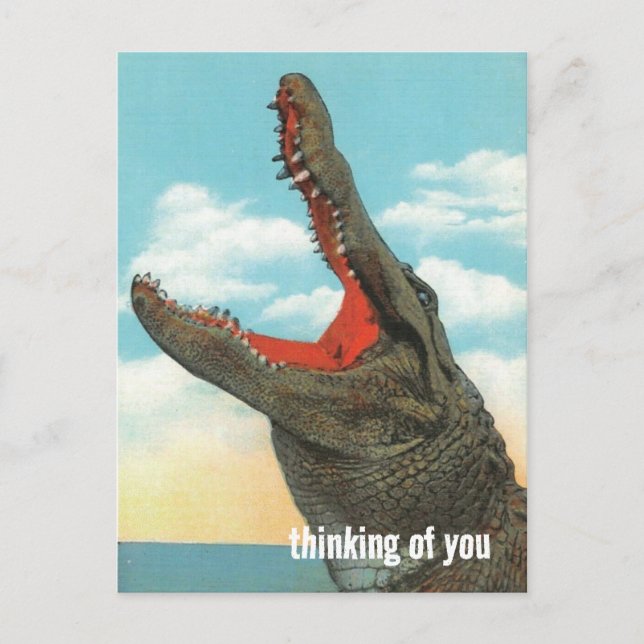 Alligator Biss Postkarte (Vorderseite)