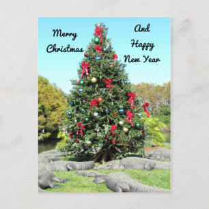 Alligator Christmas Postcard Postkarte