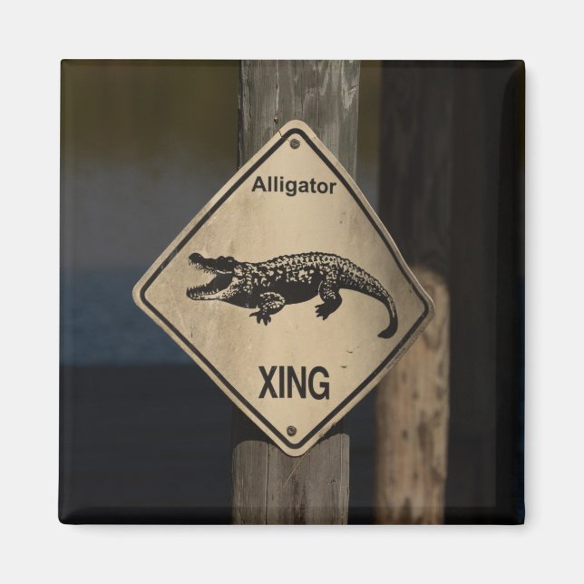 Alligator Crossing Magnet (Vorne)