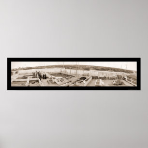 Alligator Farm Florida Foto 1910 Poster