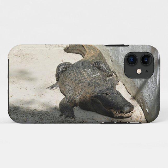Alligator, Fort Lauderdale, Florida Case-Mate iPhone Hülle (Rückseite (Horizontal))
