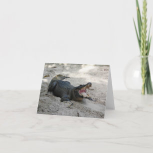 Alligator, Fort Lauderdale, Florida Dankeskarte