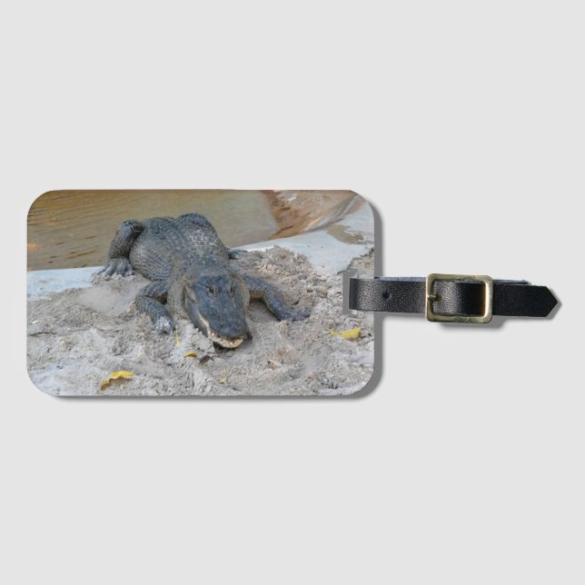Alligator, Fort Lauderdale, Florida Gepäckanhänger (Vorderseite (Horizontal))
