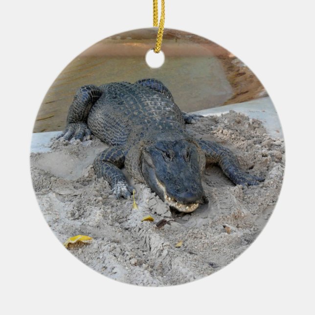 Alligator, Fort Lauderdale, Florida Keramik Ornament (Vorne)