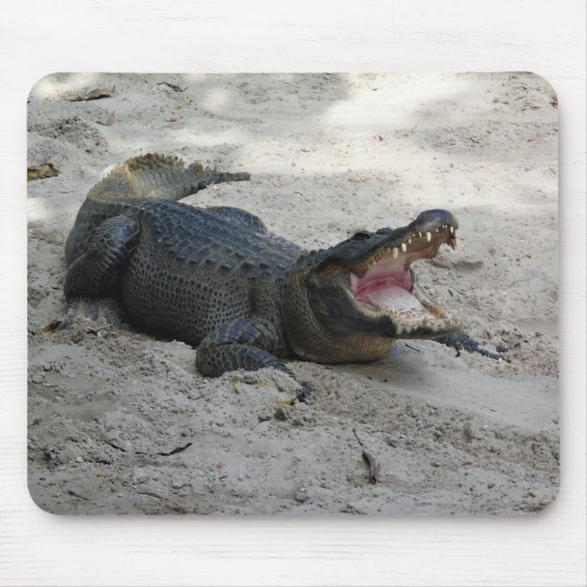 Alligator, Fort Lauderdale, Florida Mousepad (Vorne)