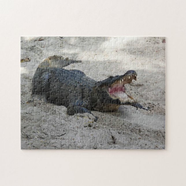 Alligator, Fort Lauderdale, Florida Puzzle (Horizontal)