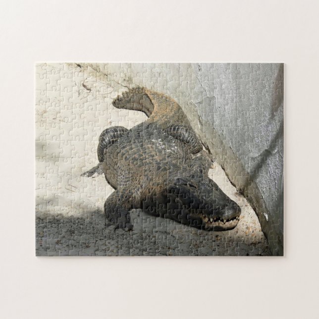Alligator, Fort Lauderdale, Florida Puzzle (Horizontal)