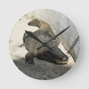 Alligator, Fort Lauderdale, Florida Runde Wanduhr