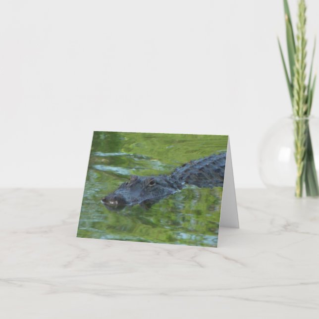 Alligator-Foto: Notizkarte (Vorderseite)