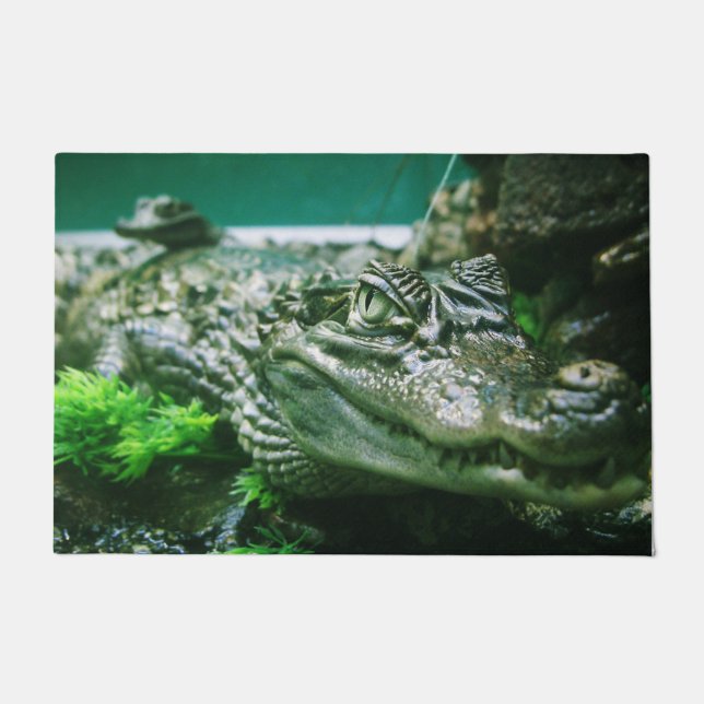 Alligator Fußmatte (Vorderseite)