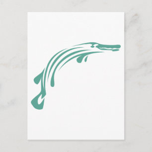 Alligator Gar Fish Postkarte