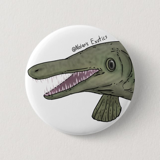 Alligator-Gar-Nadel Button (Vorderseite)