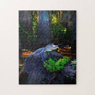 Alligator Gator Louisiana. Puzzle
