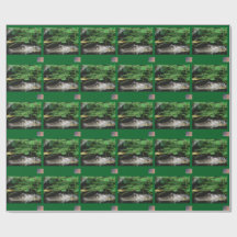 Alligator-Geschenkpapier