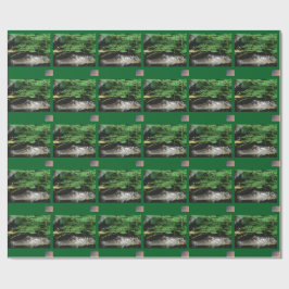 Alligator-Geschenkpapier Geschenkpapier
