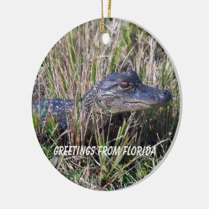 Alligator Greetings von Florida Keramik Ornament
