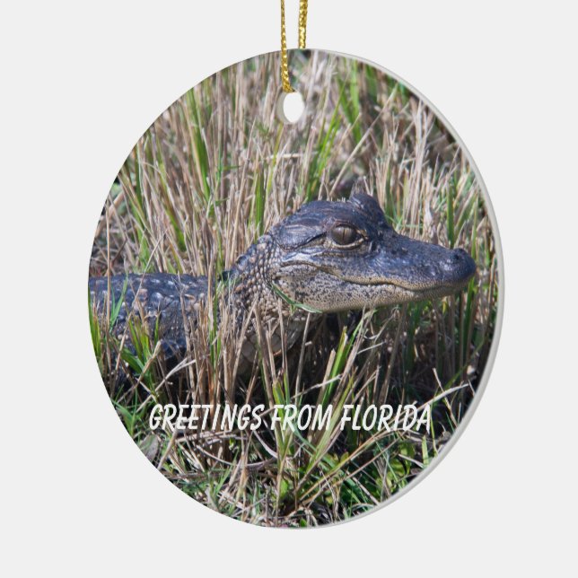 Alligator Greetings von Florida Keramik Ornament (Links)