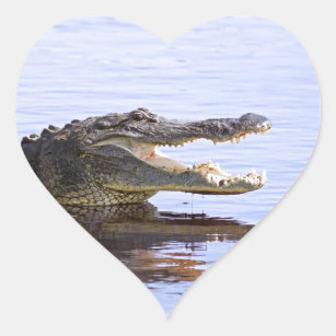 Alligator Herz-Aufkleber