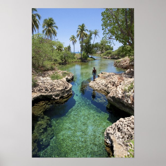 Alligator Hole, Black River Town, Jamaika Poster (Vorne)