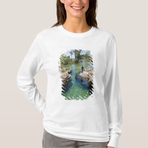 Alligator Hole, Black River Town, Jamaika T-Shirt