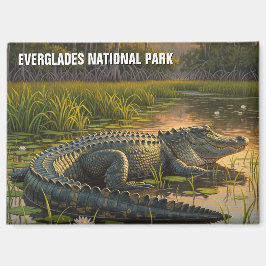Alligator im Everglades-Nationalpark Magnet