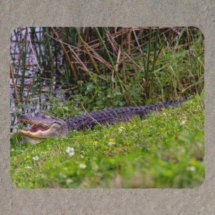 Alligator im Florida-Feuchtgebiet-Foto Mousepad