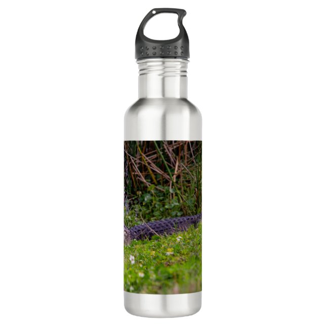 Alligator im Florida-Foto Viera Edelstahlflasche (Vorderseite)