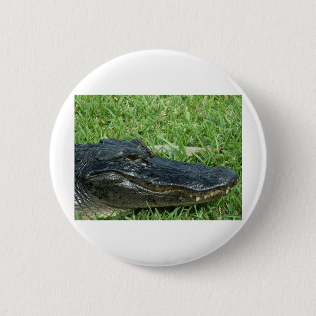 Alligator im Gras Button (Vorderseite)