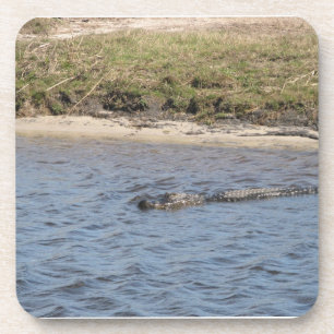 Alligator im Water Cork Untersetzer